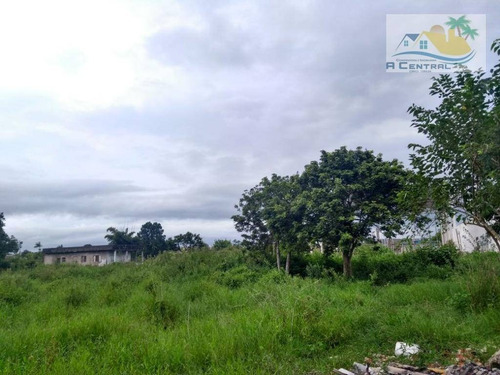 Imagem 5 de 14 de Terreno Para Venda No Oasis - Te0056