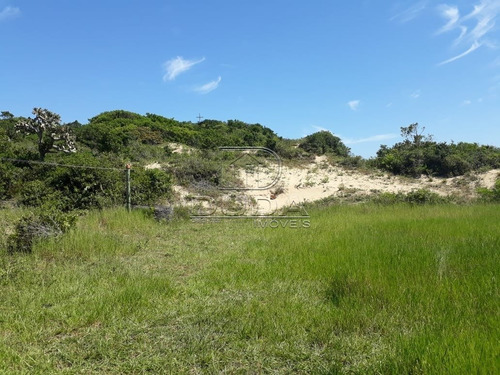 Imagem 2 de 3 de Area - Zona Sul - Ref: 28142 - V-28140
