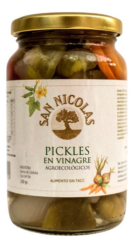 Pickles En Vinagre Agroecológicos San Nicolás X 250 Gr