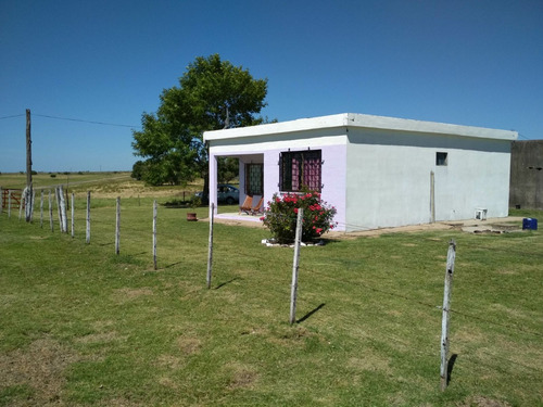 Campo De 11 Hectáreas En Ombúes De Betancor - Con Casa Completa. Coneat 161
