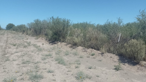Imagen 12 de 28 de Vendo/permuto Finca Apto Todo Destino (viña, Cultivos Grales Y Ademas Cannabis Medicinal) O Loteo Club De Campo -alto Del Algarrobal-san Rafael -mendoza Sobre Rn 146 Km 376.1