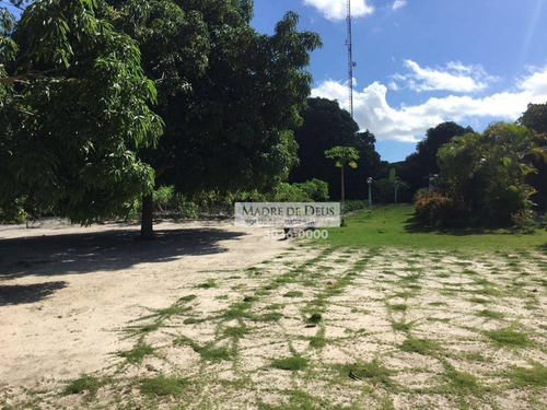 Imagem 16 de 17 de Sítio Em Patacas, Aquiraz. - Te0374