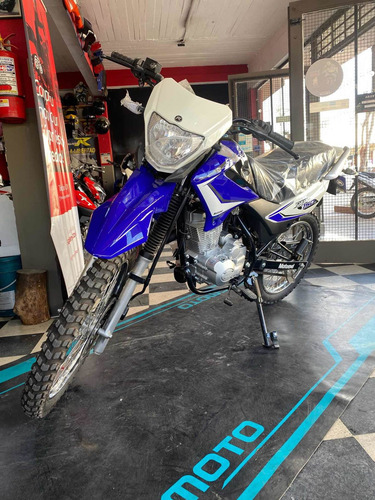 Imagen 14 de 15 de Motomel Skua 150 V6