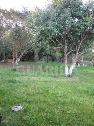 Imagem 3 de 4 de Sitio - Lami - Ref: 151022 - V-151022
