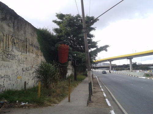Imagem 13 de 15 de Terreno - Mooca - Ref: 2350 - V-2350