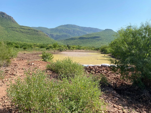 Terreno Ejidal En Tosalibampo, Ahome, Sin.