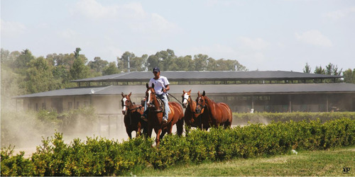 Imagen 13 de 30 de Gran Oportunidad!!! Venta De Lotes En Technopolo- Listos Para Construir!!