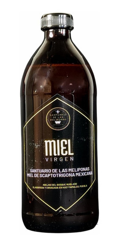 Miel Virgen De La Sierra De Puebla Miel Melipona 500 Ml
