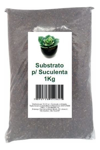 Sustrato para suculentas y cactus, 1 kg de humus/perlita/sílice