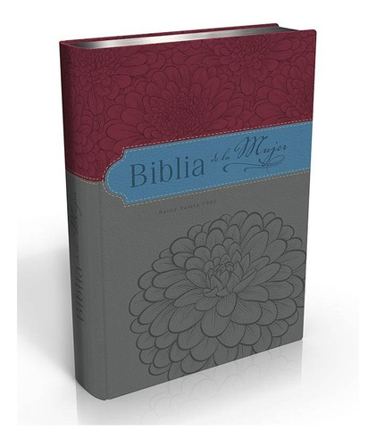 Biblia Ilustrada Rv95