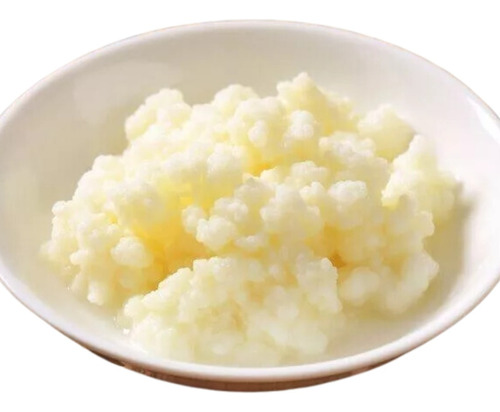 Kefir De Leite + Brinde Outra Cultura ( Tag Iogurte )