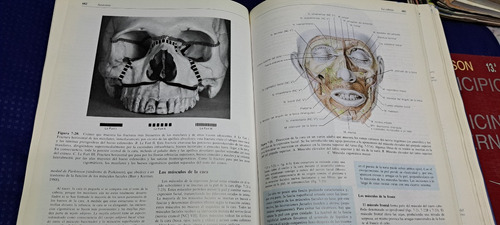 Anatomía Con Orientación Clínica 3ra Edit Keith L Moore (Usado)