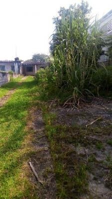 Imagem 4 de 14 de Casa No Litoral Em Itanhaém Com 520m² - 7730 Lc