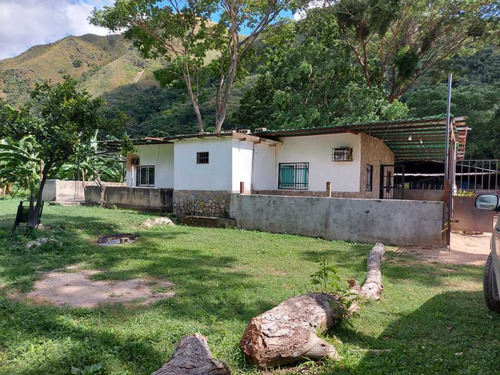 Imagen 3 de 29 de Finca Mixta + Manga De Coleo De 1 Ha En Guayabita En Turmero