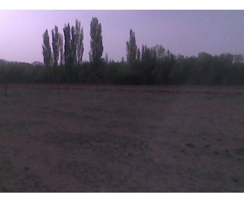 Imagen 11 de 15 de Terreno En Malargue Mendoza!