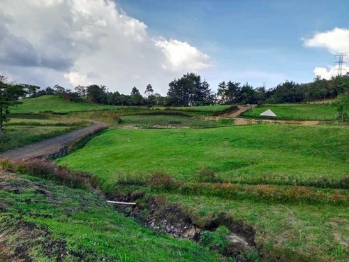 Imagen 13 de 30 de Hermosa Finca Campesina En Venta En Parcelación Excelente Vecindario.