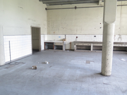 Imagen 6 de 9 de Edificio Industrial En Alquiler | Herrera 503, Barracas, Caba | 5.500 M2