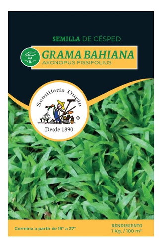 Semillas De Grama Bahiana 250 Gr
