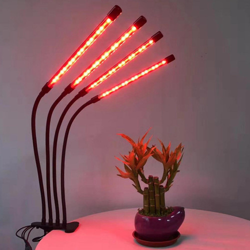 * Lámpara Led For 1 Tubo