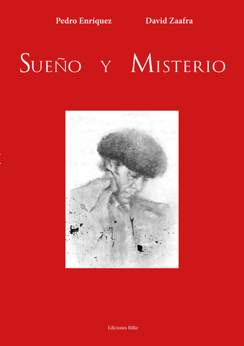 Libro Sueão Y Misterio - Enriquez, Pedro