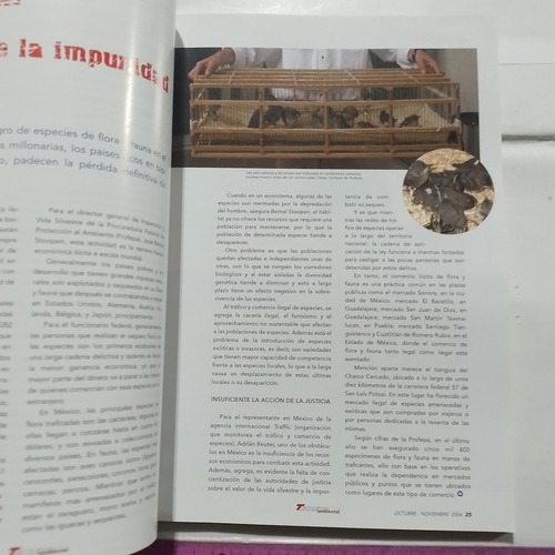 Revista Teorema Ambiental No 48 (Usado)