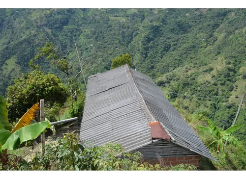 Venta Finca 77000 Mts2 Abejorral Vereda El Guaico