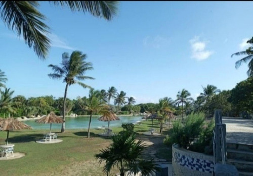 Imagen 7 de 16 de Alquiler Townhouse Caribbean Suite