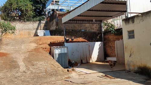 Imagem 3 de 3 de Lote - Novo Progresso - Ref: 50460 - V-50460