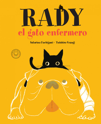Rady, El Gato Enfermero - Satorino, Fuchigami
