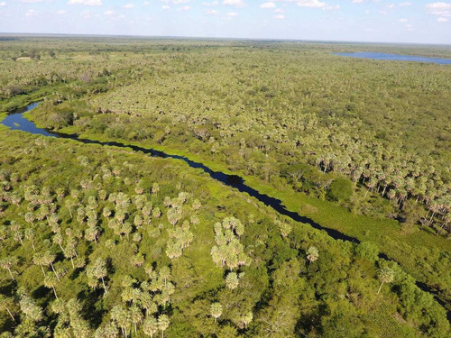 Imagen 3 de 8 de Campo En Formosa Argentina Agricola Ganadero Desmonte