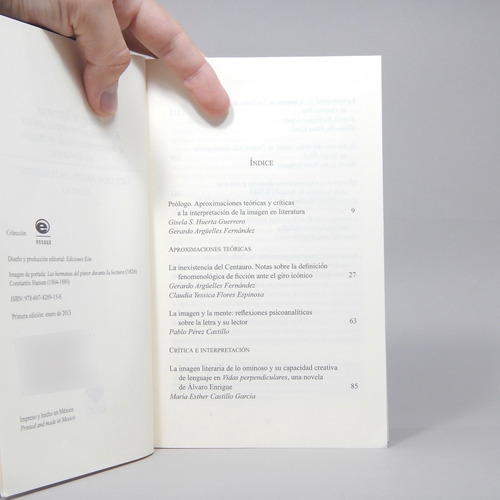 Imagen Literaria Gerardo Argüelles Fernández 2013