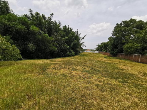 Terreno Rio Tuxpan Veracruz 3500 M² En La Localidad De Santa Rosalia