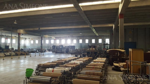 Imagen 14 de 25 de Excepcional Nave Industrial A Mts. De Panamericana