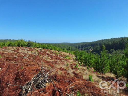 Sitio L37 Vista Amplia En Venta En Pichilemu