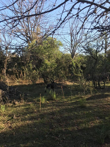 Imagen 5 de 7 de Campo En El Huayco Las Calles