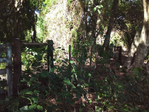 Imagen 4 de 15 de Vendo Pequeño Bosque Sobre El Río Corriente En La Ciudad De Esquina!!!!