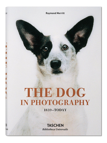 The Dog In Photography 1839 - Today
