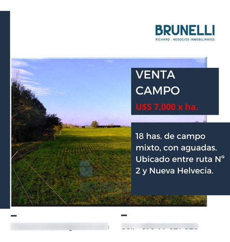 Campo En Nueva Helvecia