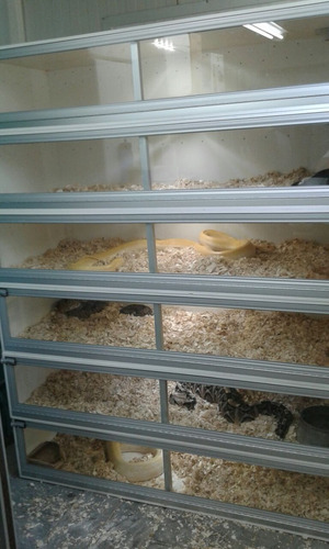 Slimled, Stripled, Tiras De Led, Lampara Led, 60cm L 6w