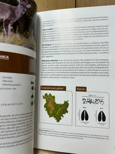 Los Rastros Ocultos De Chingaza Angela Parra-josé F. (Usado)