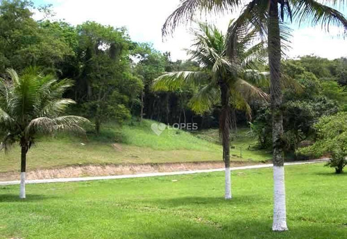 Imagem 1 de 17 de Terreno À Venda, 1001 M² Por R$ 290.000,00 - Piratininga - Niterói/rj - Te2694