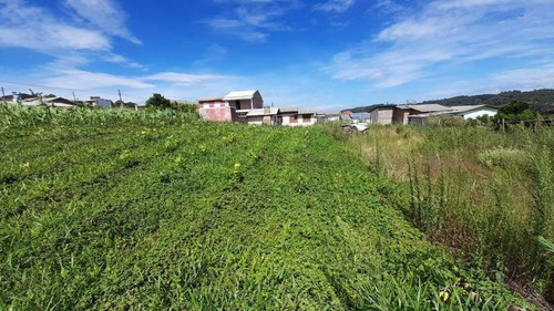 Imagem 2 de 4 de Terreno - Monte Verde - Ref: 8228 - V-8228