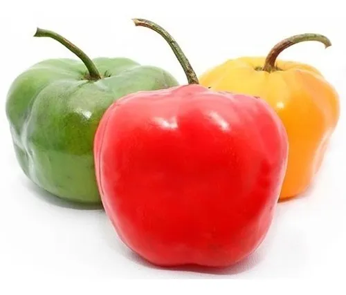 20 Semillas Frescas Para Cultivo De Ají Rocoto Capsicum 