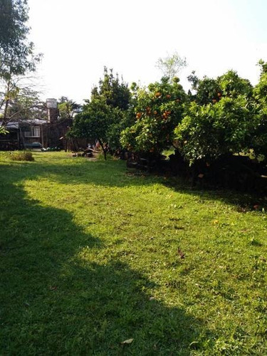 Imagen 2 de 5 de 2 Hermosos Lotes !! Venta Conjunta O Por Separado
