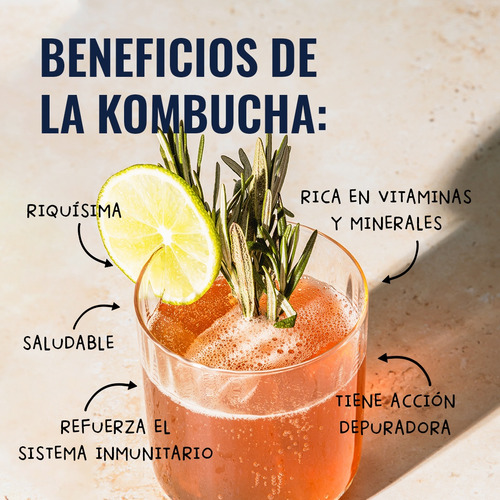 Kit Haz Tu Kombucha Bebida Probiótica Scoby + Líquido Salud