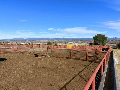 Imagen 3 de 24 de Rancho En Venta Cd. Guerrero, Chihuahua.