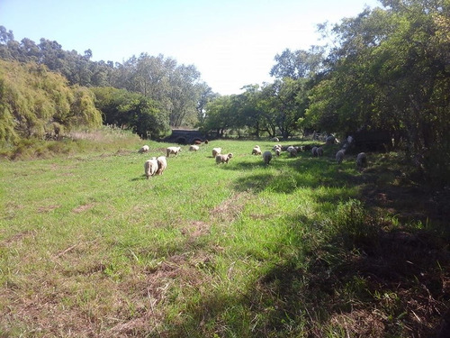 Imagen 2 de 13 de Campo De 6.8 Has En Punta Indio