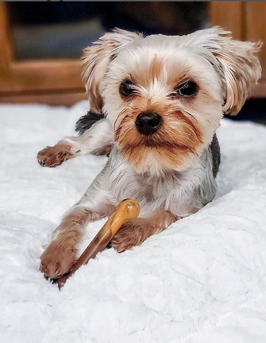 Juguete Huesos Nylabone Dura Power Chew Manzana 2pz 11kg