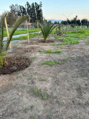 Parcela En San Francisco De Mostazal, Sector Santa Teresa