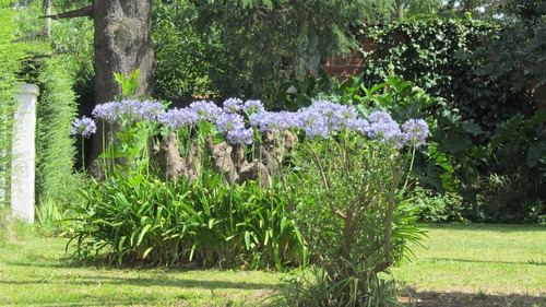 Lote En Venta